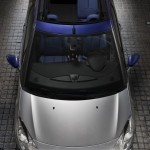 DS3-Cabrio (100)