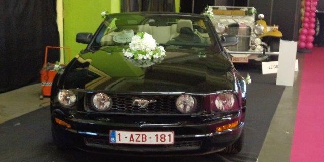 mustang