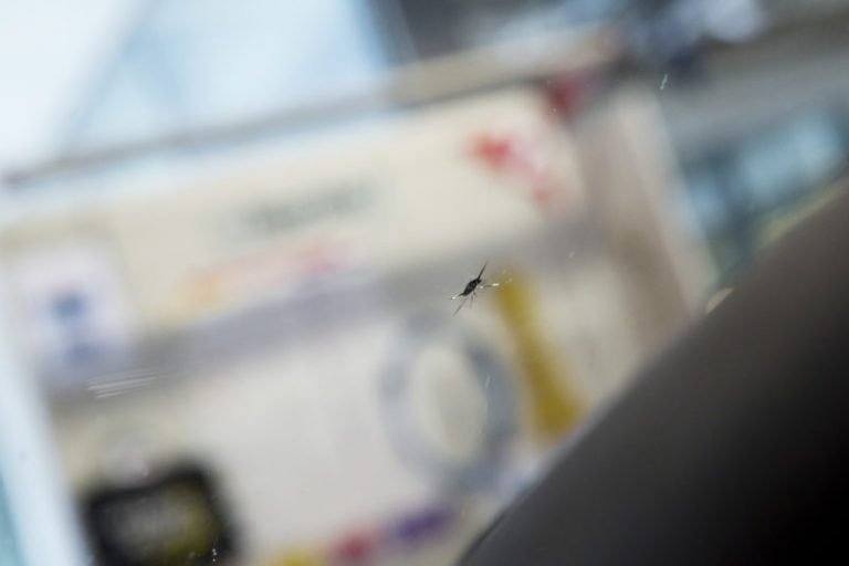 Parebrise fissuré fautil le réparer ou le remplacer