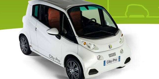 Utilitaire électrique Weez City-Pro